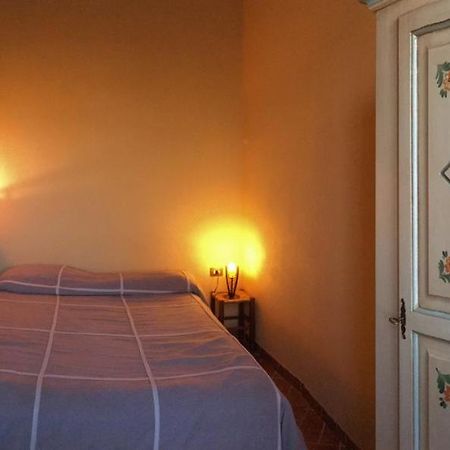 Agriturismo Terre Di Musignano Canino Luaran gambar