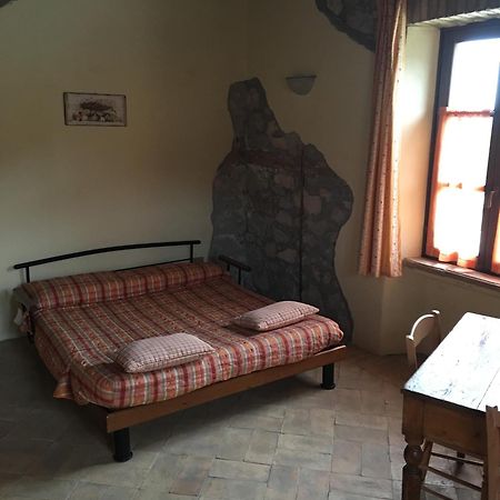 Agriturismo Terre Di Musignano Canino Luaran gambar