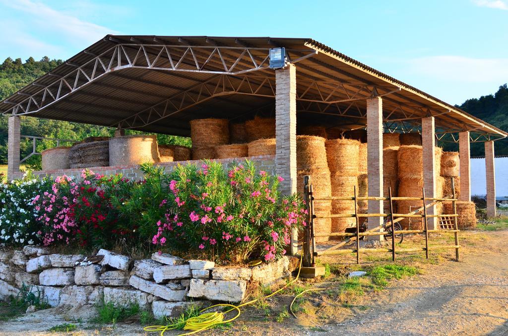Agriturismo Terre Di Musignano Canino Bilik gambar