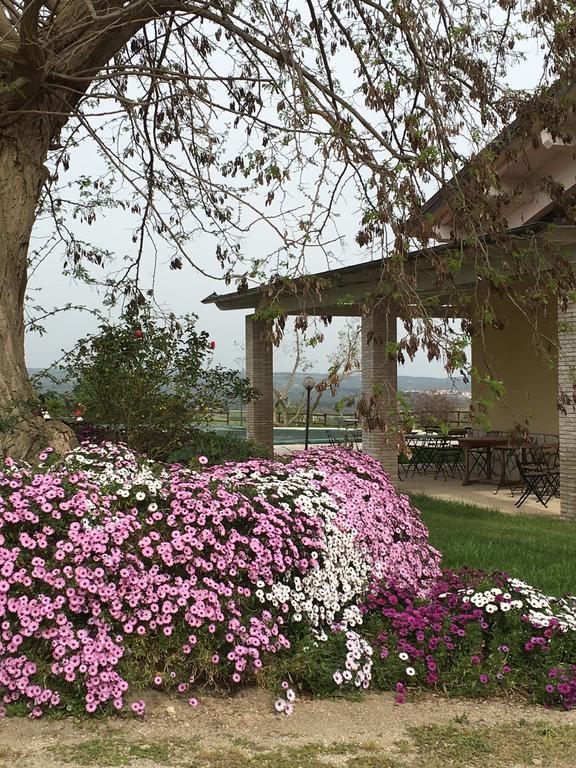 Agriturismo Terre Di Musignano Canino Luaran gambar