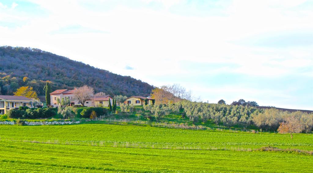 Agriturismo Terre Di Musignano Canino Luaran gambar