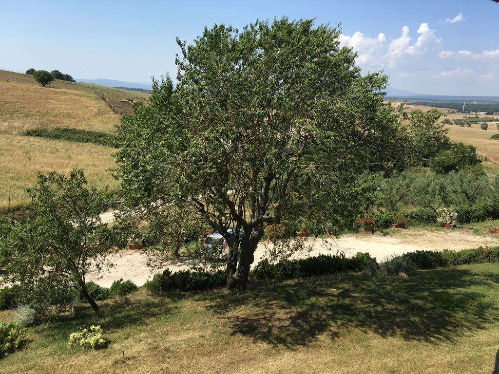 Agriturismo Terre Di Musignano Canino Luaran gambar