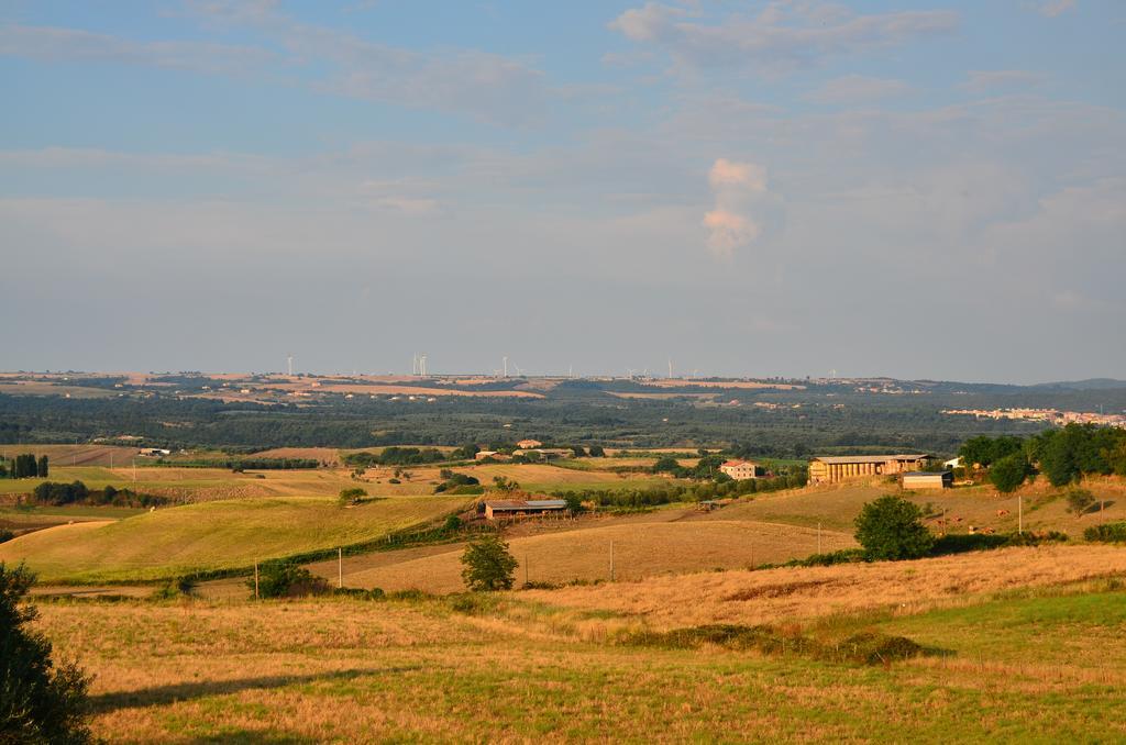 Agriturismo Terre Di Musignano Canino Luaran gambar