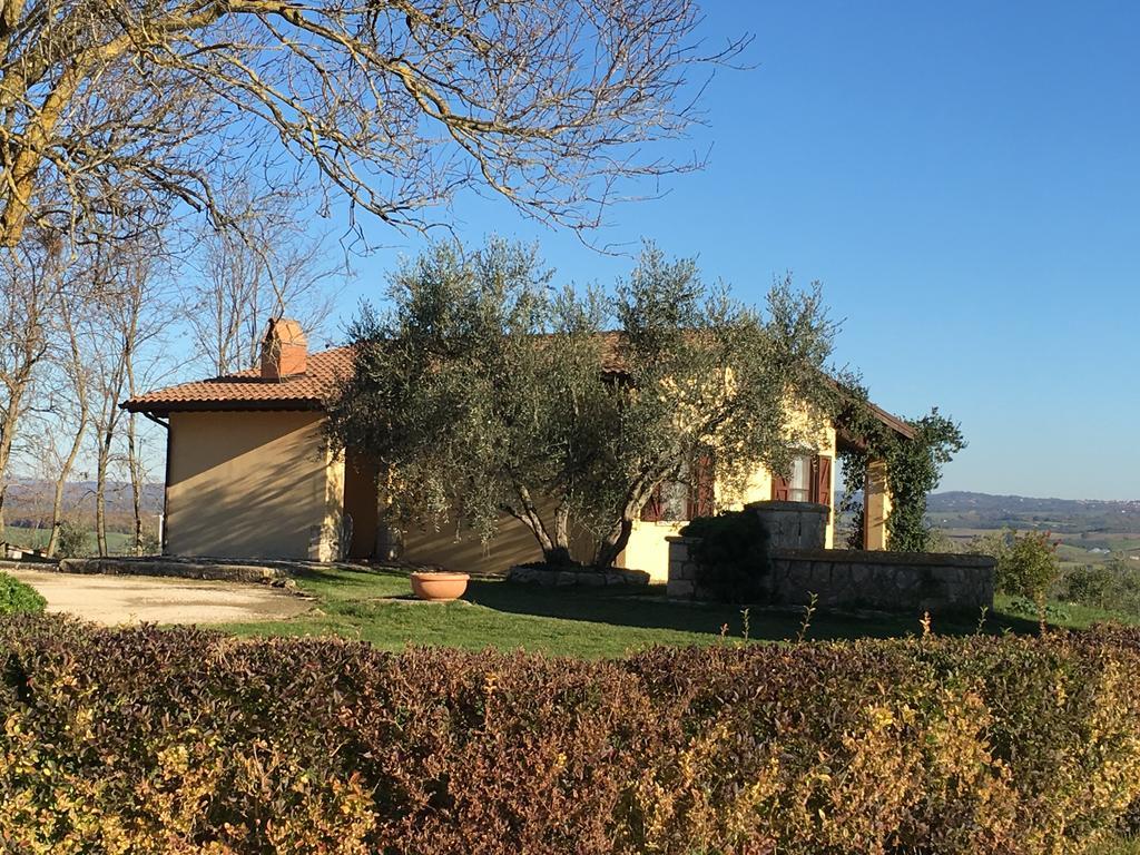 Agriturismo Terre Di Musignano Canino Luaran gambar